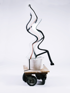 Jina Shin