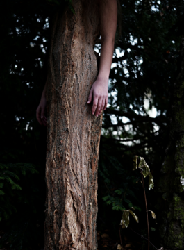 Jina Shin